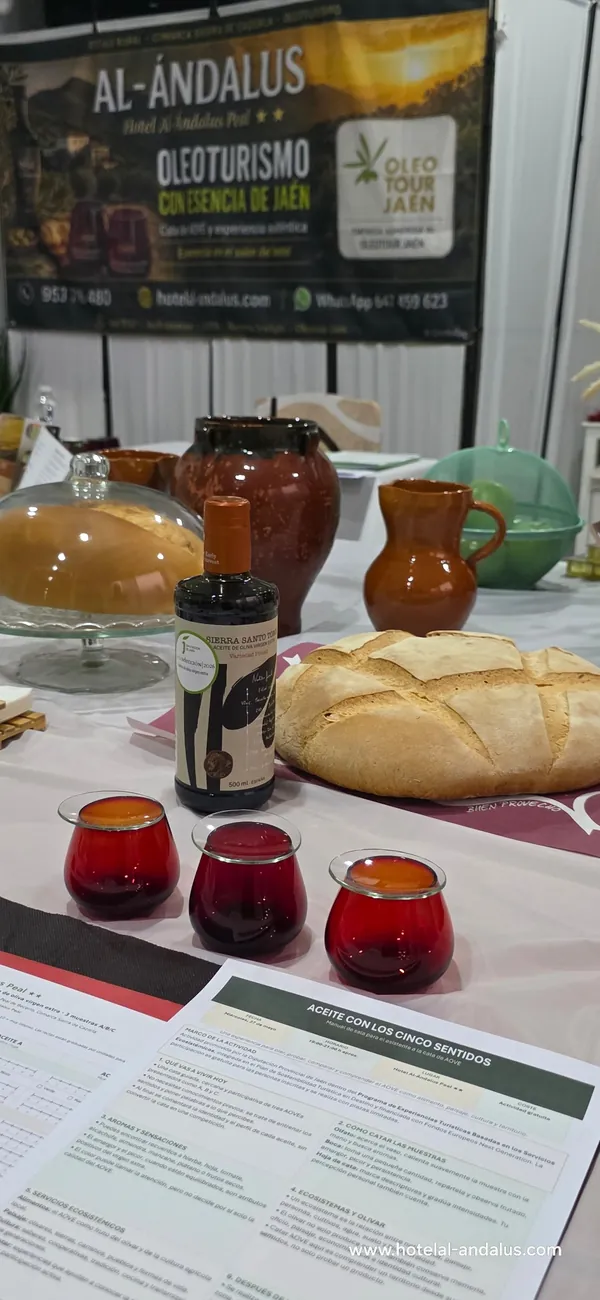 Extra virgin olive oil, bread and tasting glasses prepared