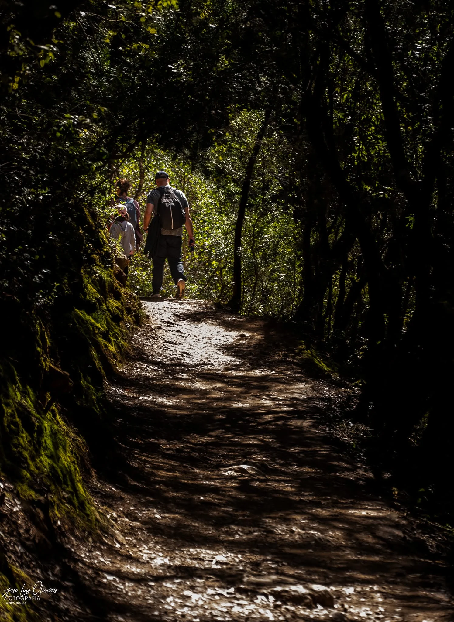 Camino de la Cerrada de Elías