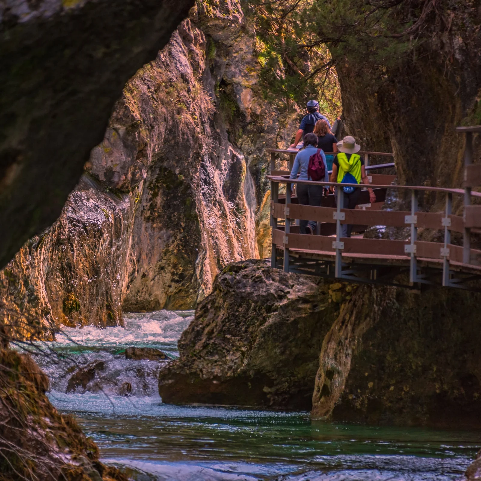Pasarela del Río Borosa