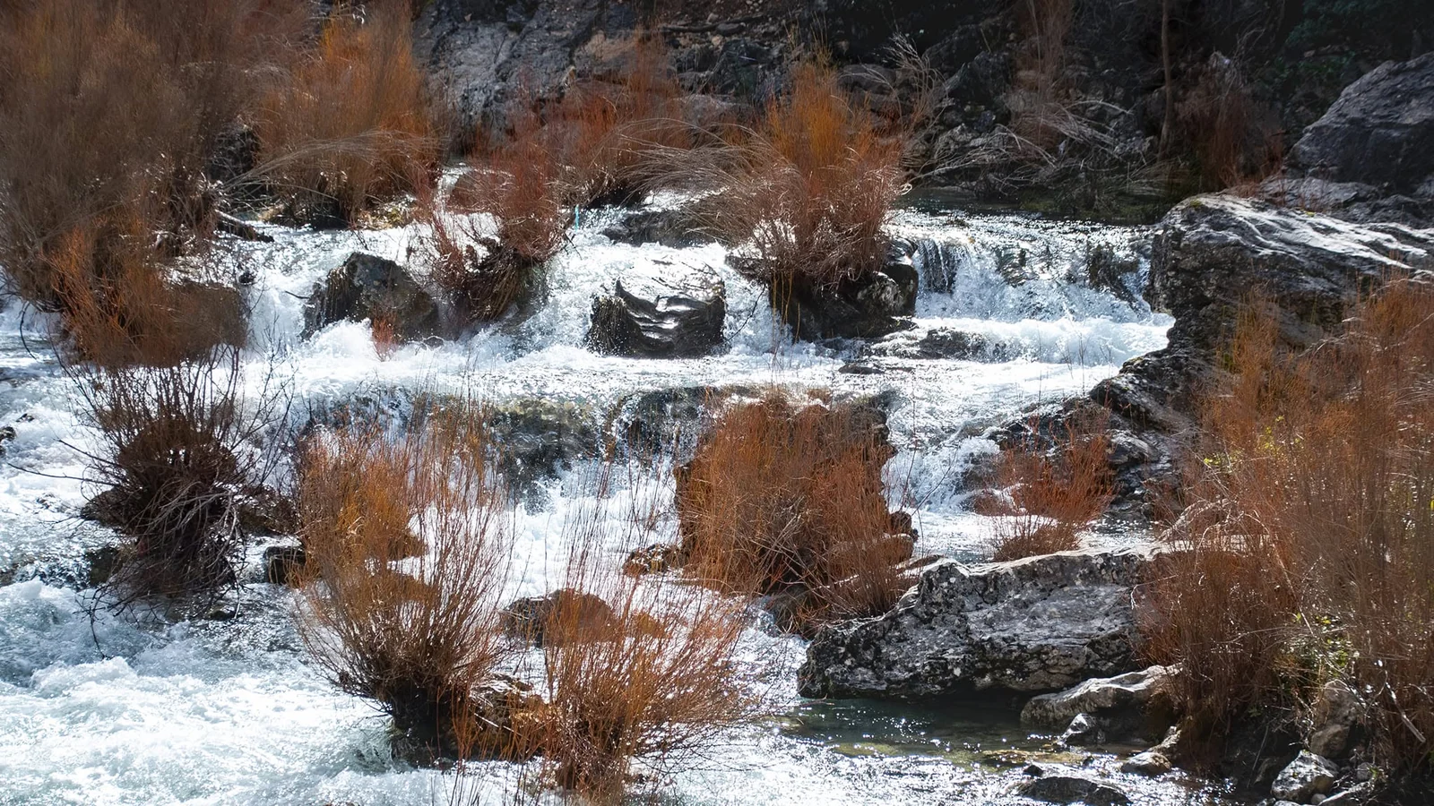 Río Borosa