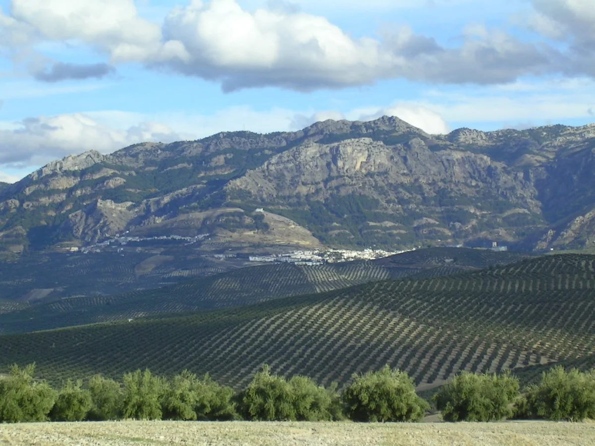 Olivar y sierra en el entorno de Quesada y Cazorla