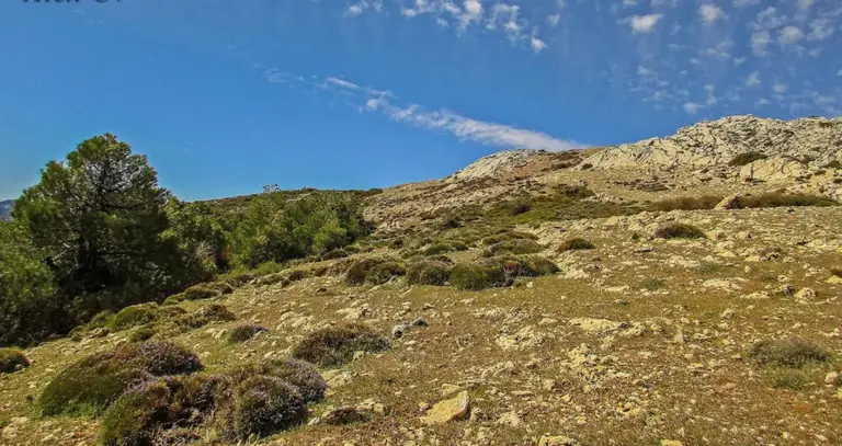 Loma de los Castellones (Peal de Becerro)
